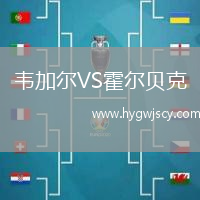 韋加爾VS霍爾貝克