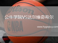 公牛學(xué)院VS達(dá)爾維奇希爾