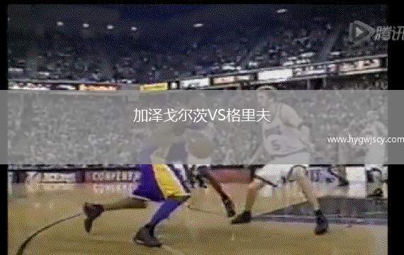 加澤戈?duì)柎腣S格里夫