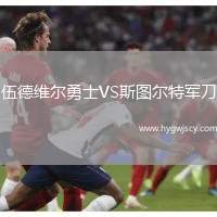 伍德維爾勇士VS斯圖爾特軍刀