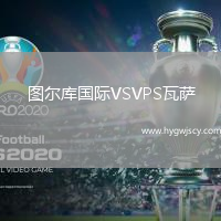 圖爾庫國際VSVPS瓦薩