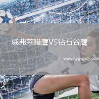 威弗萊獵鷹VS鉆石谷鷹
