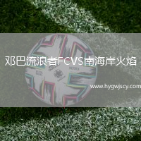 鄧巴流浪者FCVS南海岸火焰