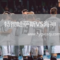 特徹哈薩斯VS海神