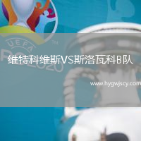 維特科維斯VS斯洛瓦科B隊(duì)