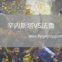 辛內(nèi)斯塔VS法魯