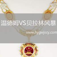 溫德姆VS貝拉林風(fēng)暴
