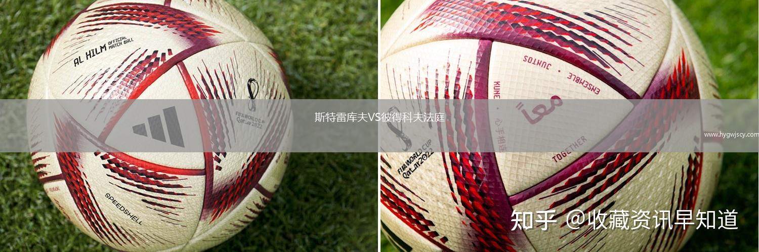 斯特雷庫(kù)夫VS彼得科夫法庭