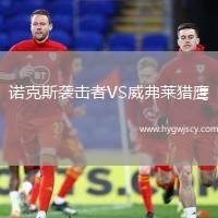 諾克斯襲擊者VS威弗萊獵鷹