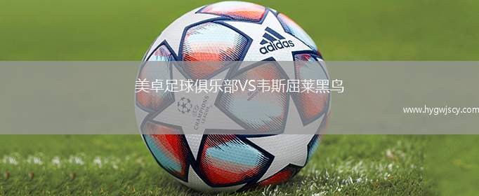 美卓足球俱樂部VS韋斯屈萊黑鳥