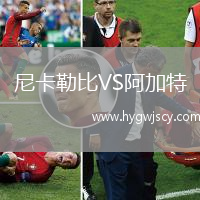尼卡勒比VS阿加特