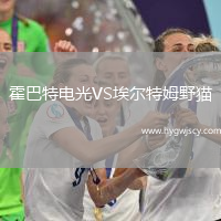 霍巴特電光VS埃爾特姆野貓
