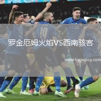 羅金厄姆火焰VS西南駭客