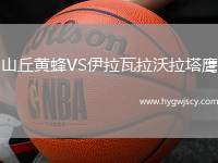 山丘黃蜂VS伊拉瓦拉沃拉塔鷹
