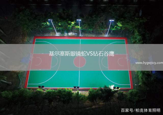 基爾塞斯眼鏡蛇VS鉆石谷鷹