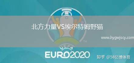 北方力量VS埃爾特姆野貓