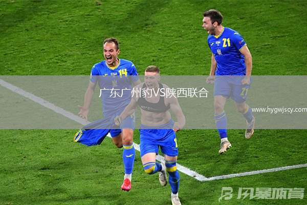 廣東廣州豹VS陜西聯(lián)合