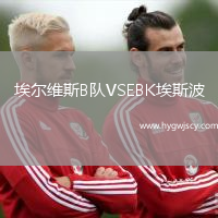 埃爾維斯B隊(duì)VSEBK埃斯波