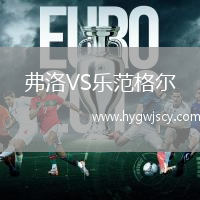 弗洛VS樂范格爾