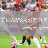 美因茨VS沃爾夫斯堡