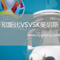 尼斯比VSVSK奧胡斯