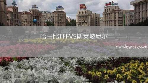 哈馬比TFFVS斯萊坡尼爾