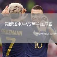 民都洛水牛VS薩蘭加尼省