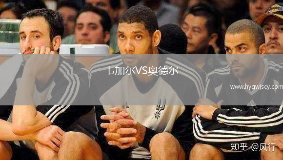 韋加爾VS奧德爾