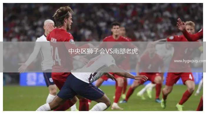 中央?yún)^(qū)獅子會VS南部老虎